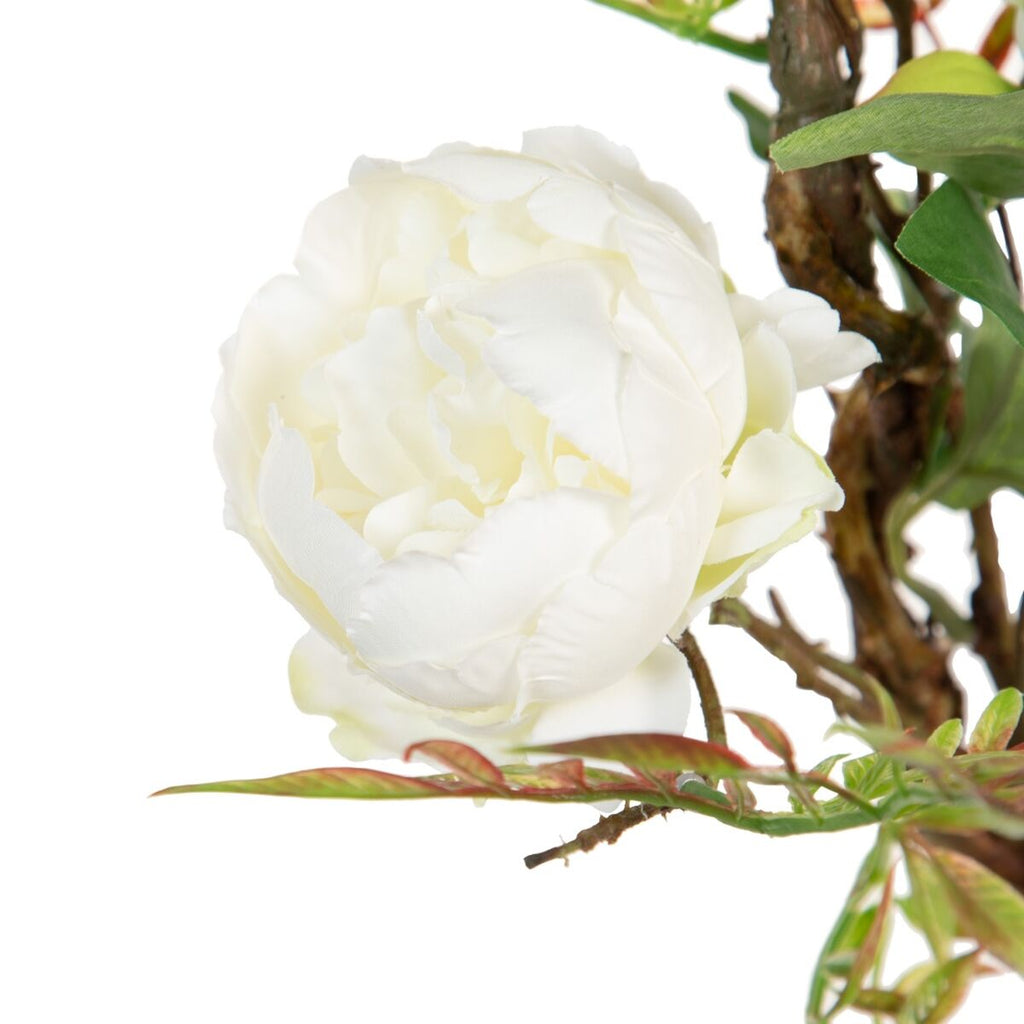 Bigbuy Home Deko-Blumen 100 X 27 X 20 Cm Weiß Pfingstrose