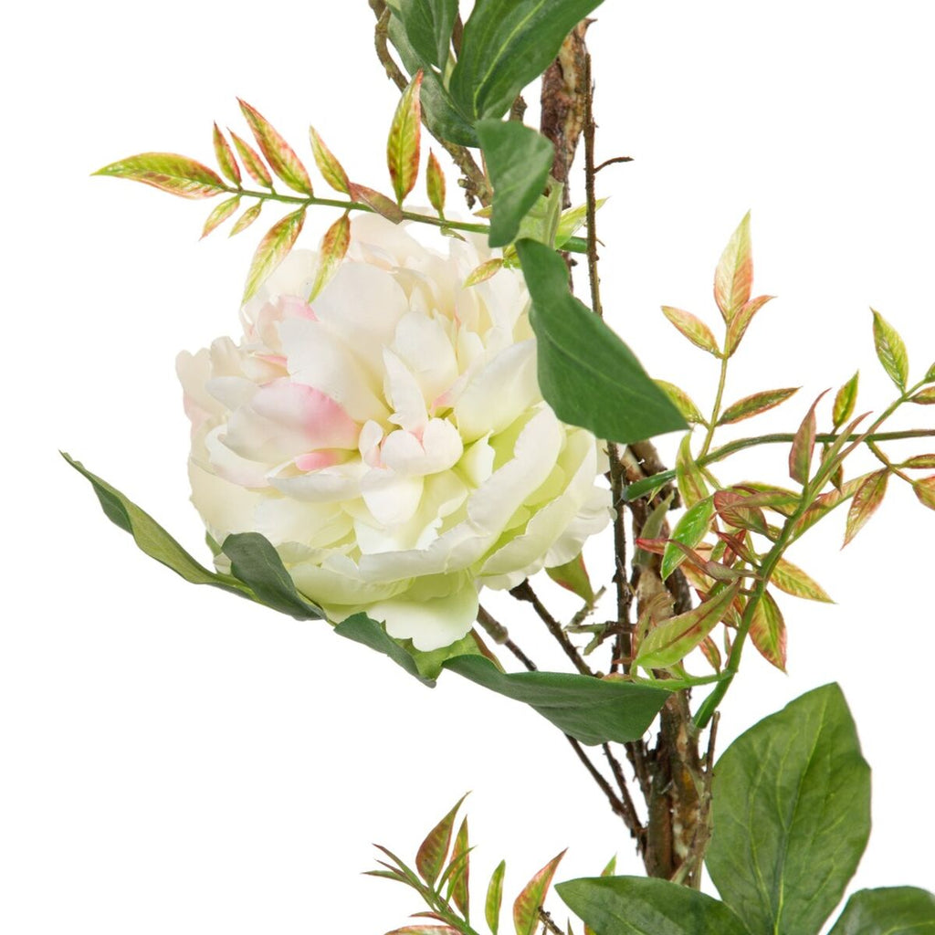 Bigbuy Home Deko-Blumen 160 X 30 X 24 Cm Weiß Pfingstrose