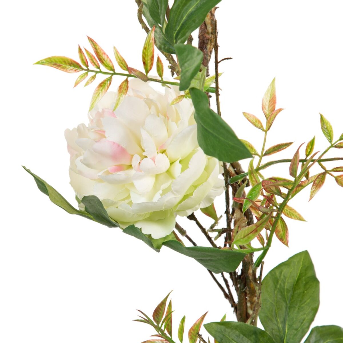 Bigbuy Home Deko-Blumen 160 X 30 X 24 Cm Weiß Pfingstrose