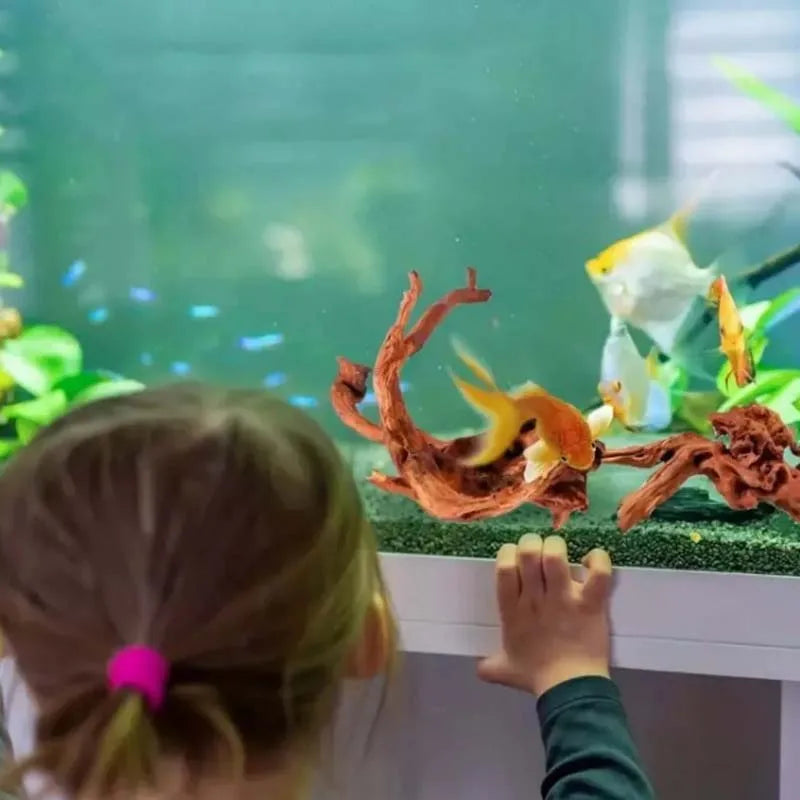 Natürliches Treibholz für Aquarium – Dekoration für Süßwasser & Terrarium