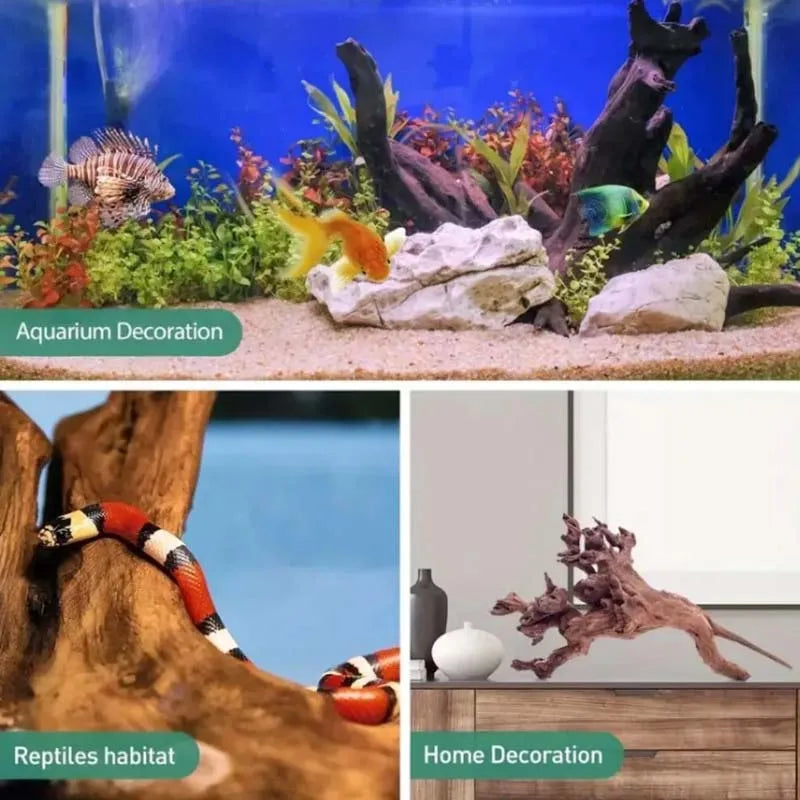 Natürliches Treibholz für Aquarium – Dekoration für Süßwasser & Terrarium