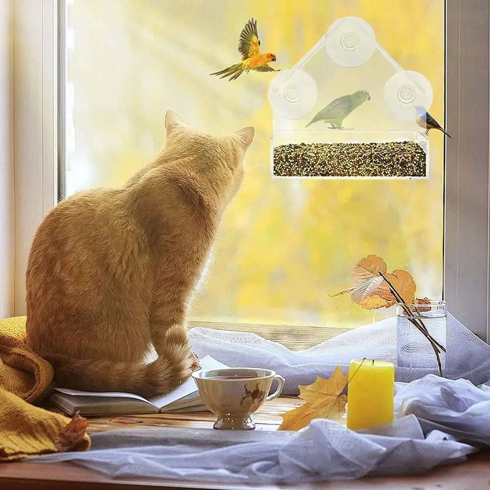 Vogelfutterspender fuer Fenster – Transparent, mit Saugnapf, fuer Garten und Balkon