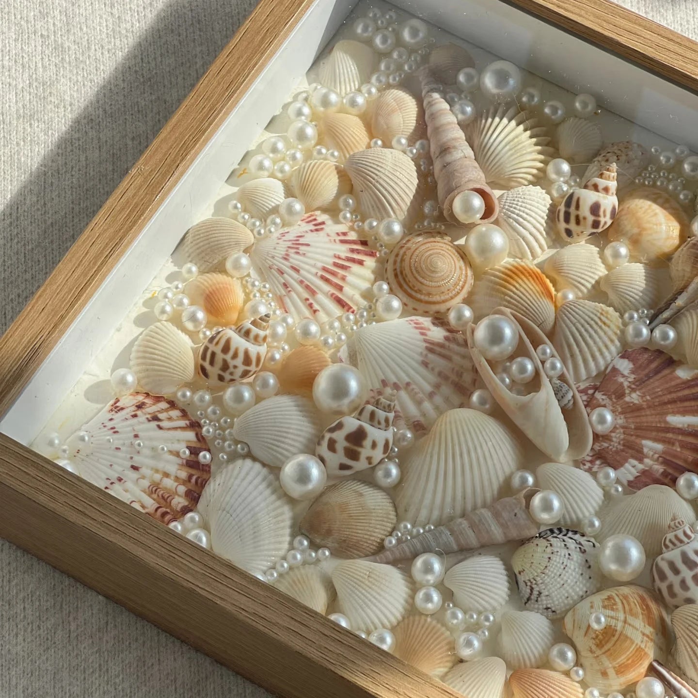 Natürliche Meeresmuscheln – Deko-Set für Schmuck, Aquarium & maritime Dekoration