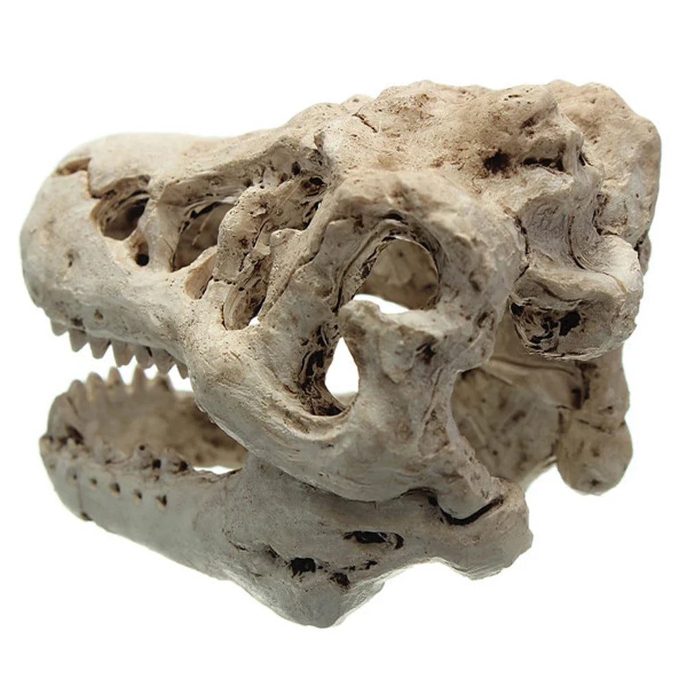 Aquarium Krokodilschädel Dekoration aus Resin - Ornament für Fischbecken