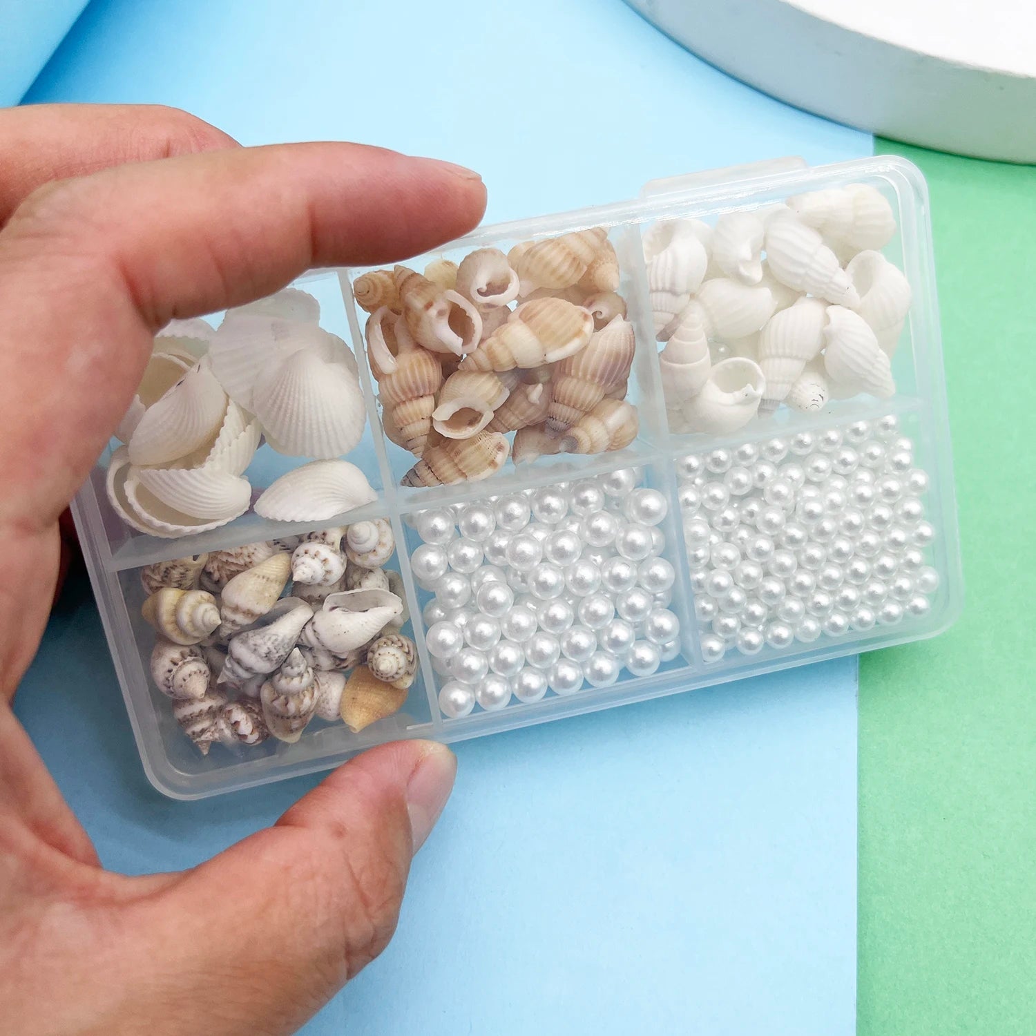 Natürliche Meeresmuscheln – Deko-Set für Schmuck, Aquarium & maritime Dekoration
