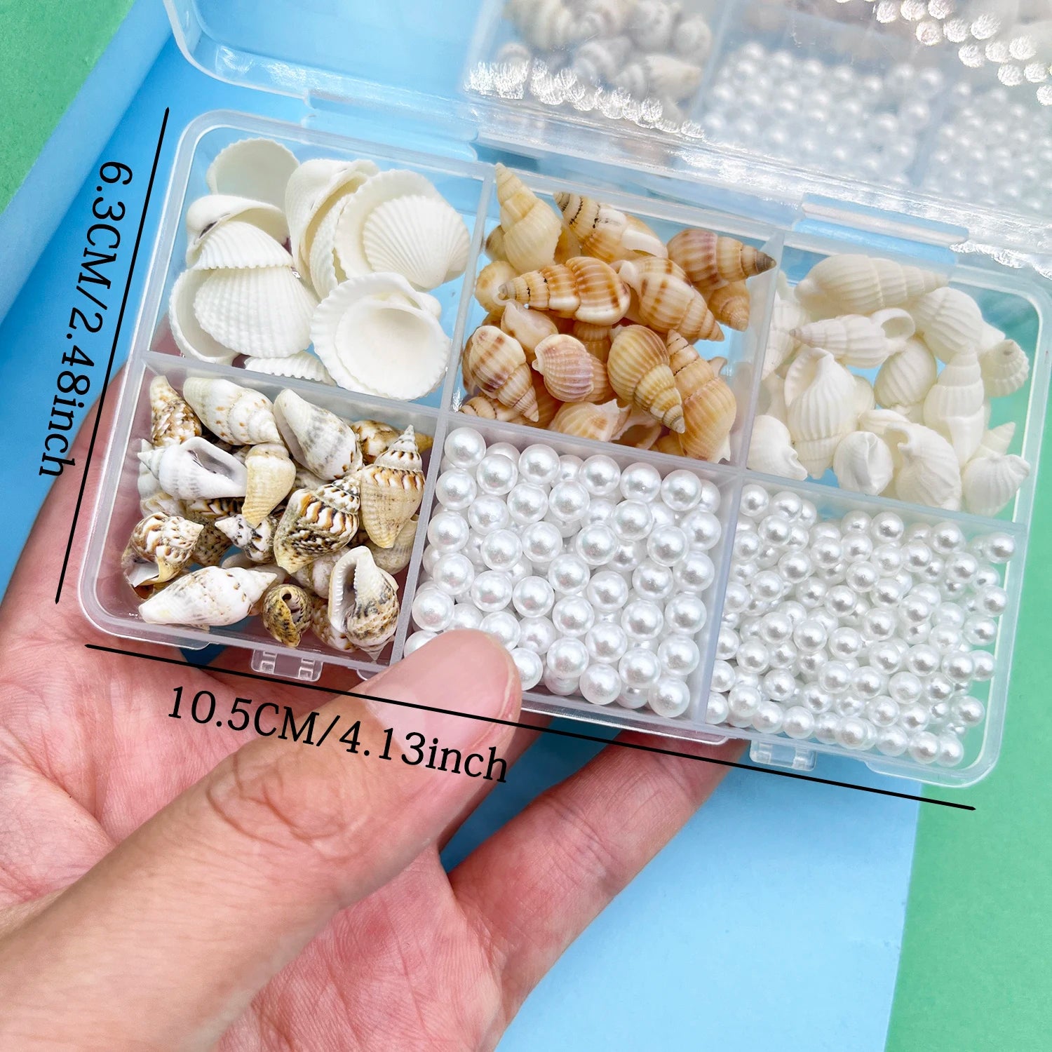 Natürliche Meeresmuscheln – Deko-Set für Schmuck, Aquarium & maritime Dekoration