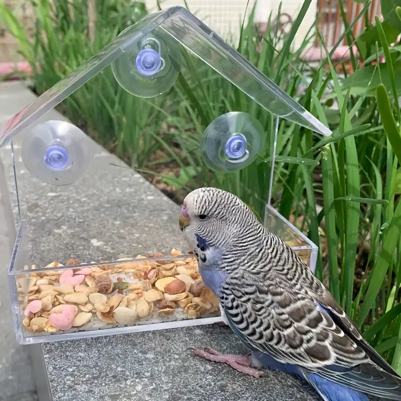 Vogelfutterspender fuer Fenster – Transparent, mit Saugnapf, fuer Garten und Balkon