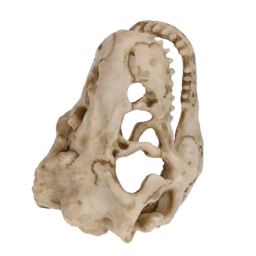 Aquarium Krokodilschädel Dekoration aus Resin - Ornament für Fischbecken