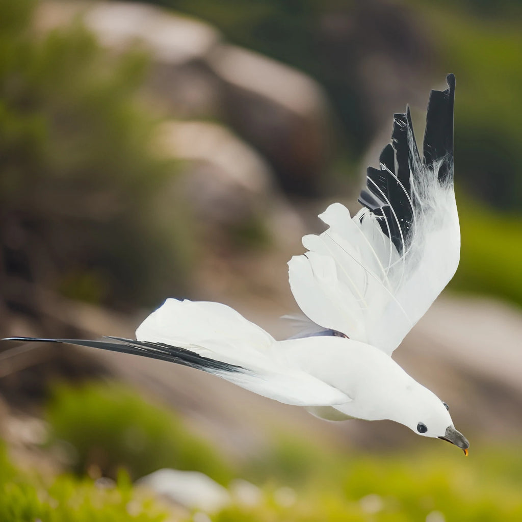 Deko-Möwe aus Schaumstoff – realistische Vogelfigur für Haus und Garten