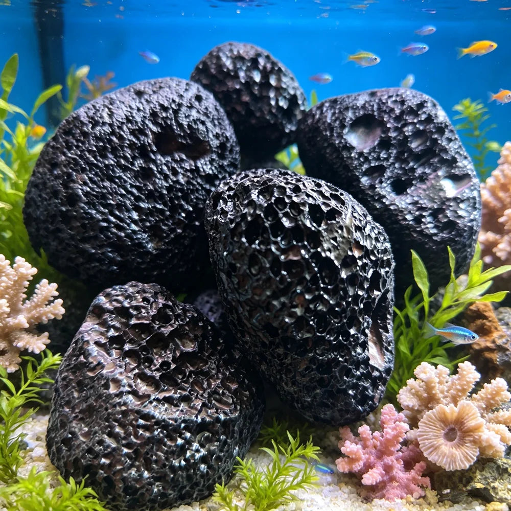 Natürlicher Aquarium Filterstein – Vulkangestein Bio-Filter