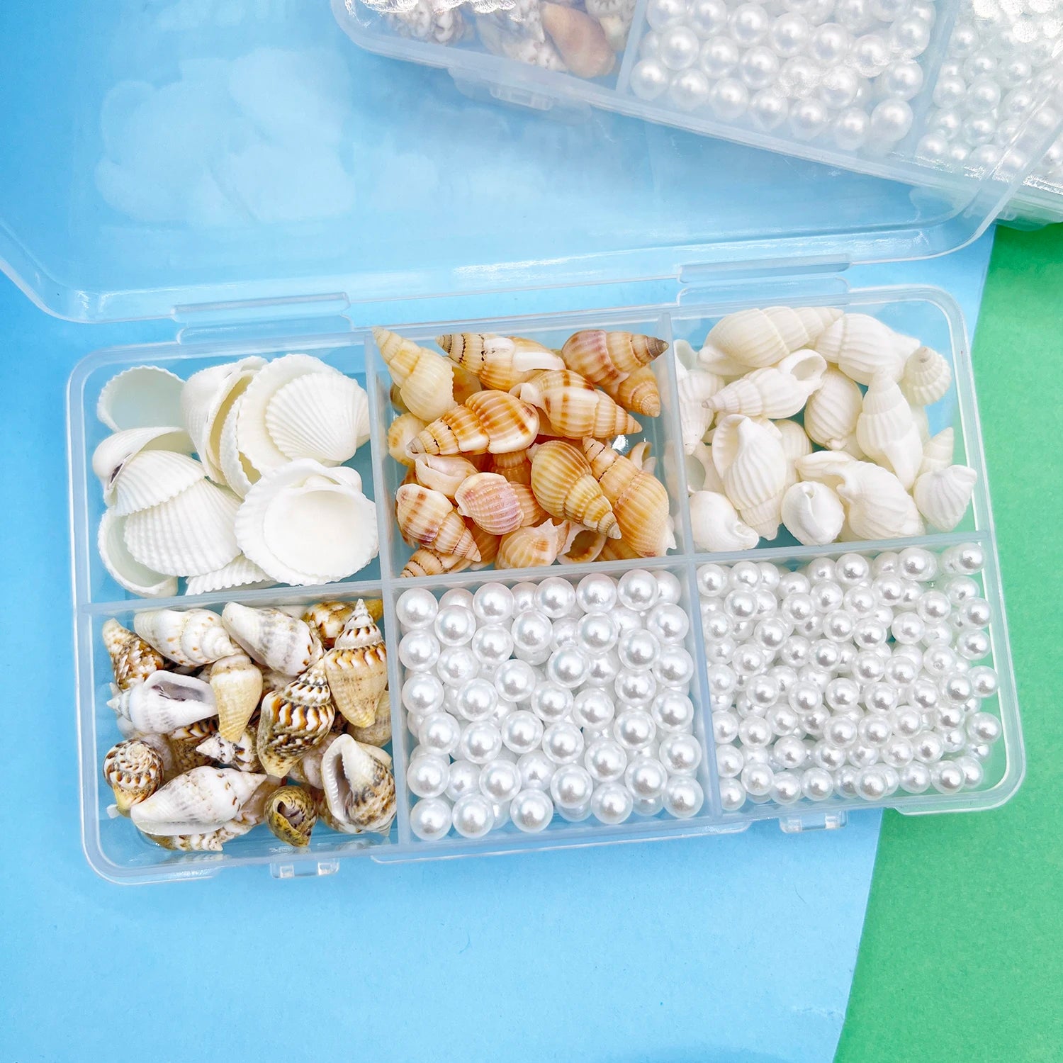 Natürliche Meeresmuscheln – Deko-Set für Schmuck, Aquarium & maritime Dekoration