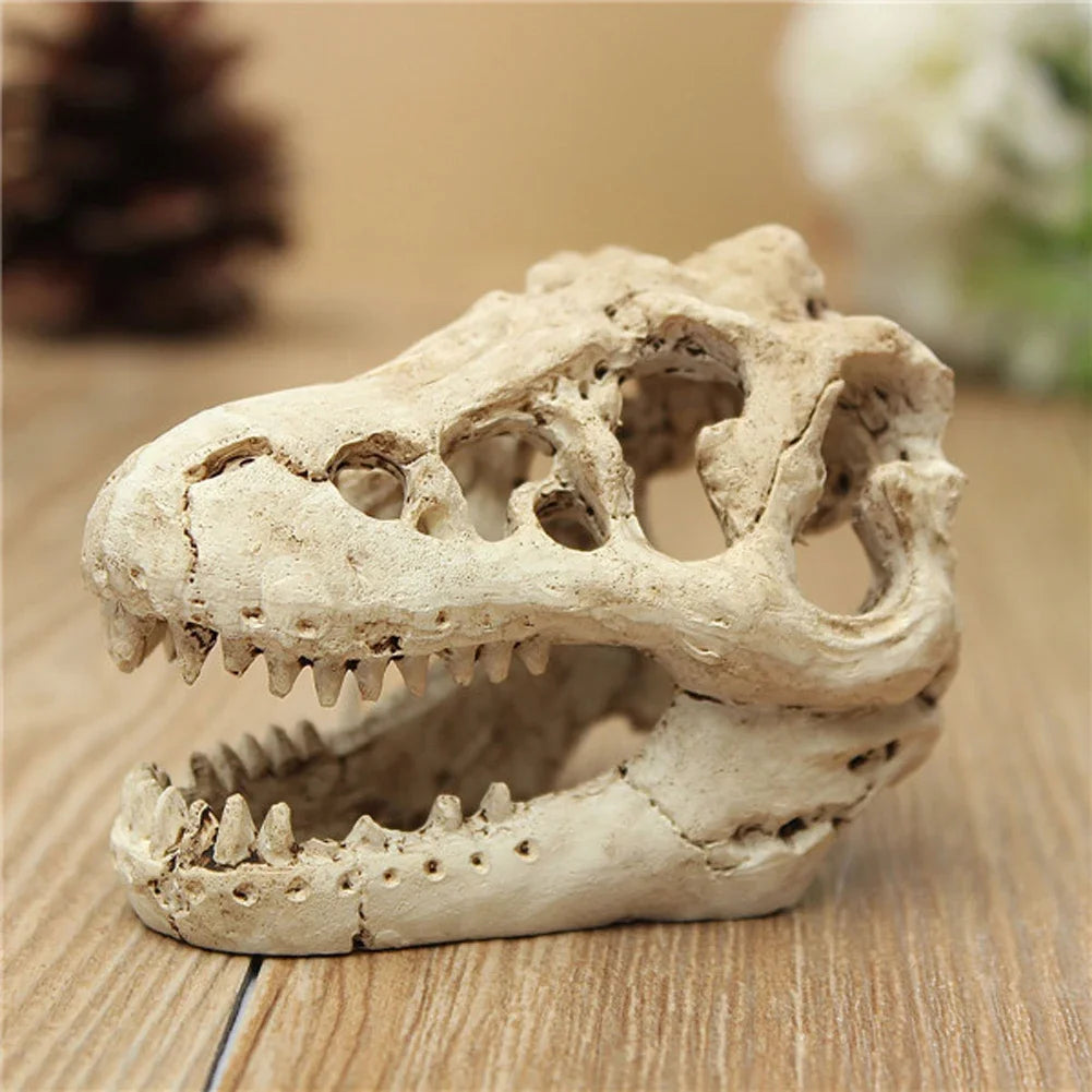 Aquarium Krokodilschädel Dekoration aus Resin - Ornament für Fischbecken