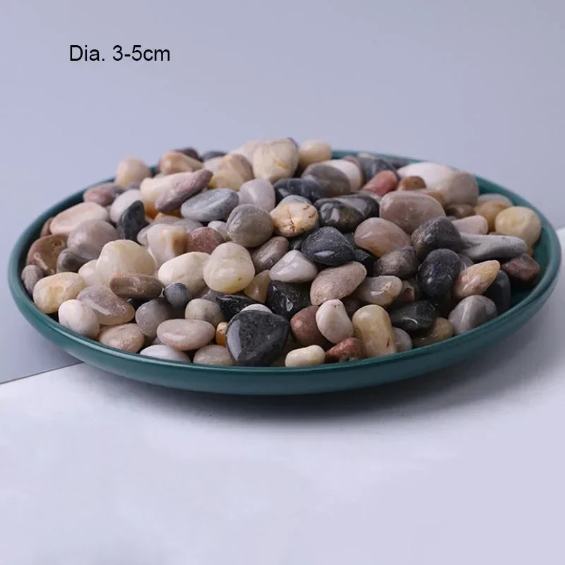 Bunte Natursteine für Aquarium & Deko – 250g oder 500g | Ø 3–5 cm